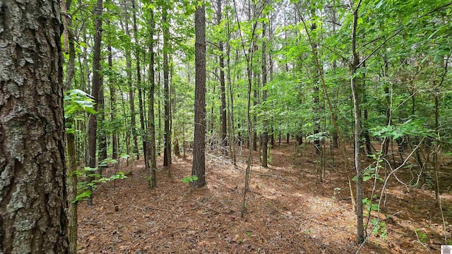 0 Jennings Trl, New Concord, KY 42076