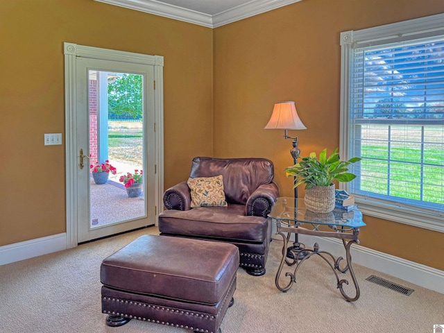 730 Rob Mason Rd, Murray, KY 42071 - sitting room with carpet floors, ornamental molding, and baseboards