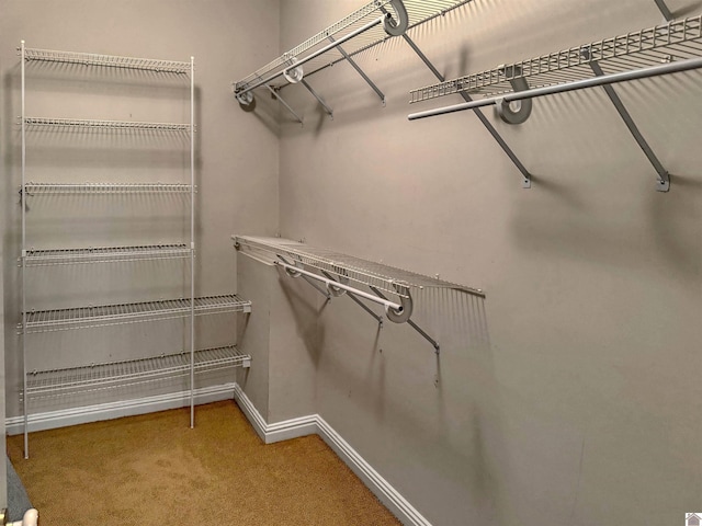 730 Rob Mason Rd, Murray, KY 42071 - walk in closet with carpet floors