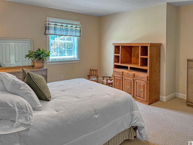 730 Rob Mason Rd, Murray, KY 42071 - bedroom featuring carpet floors and baseboards