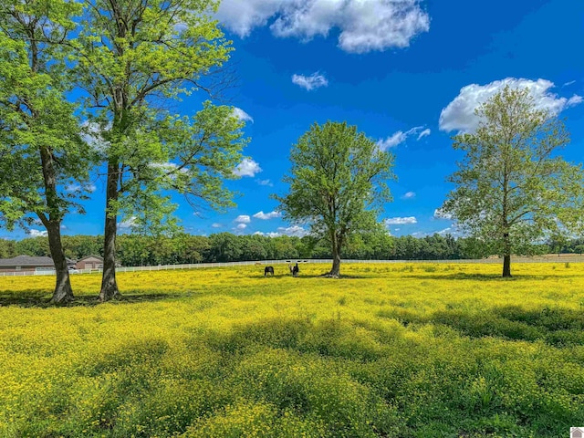 730 Rob Mason Rd, Murray, KY 42071 - view of yard