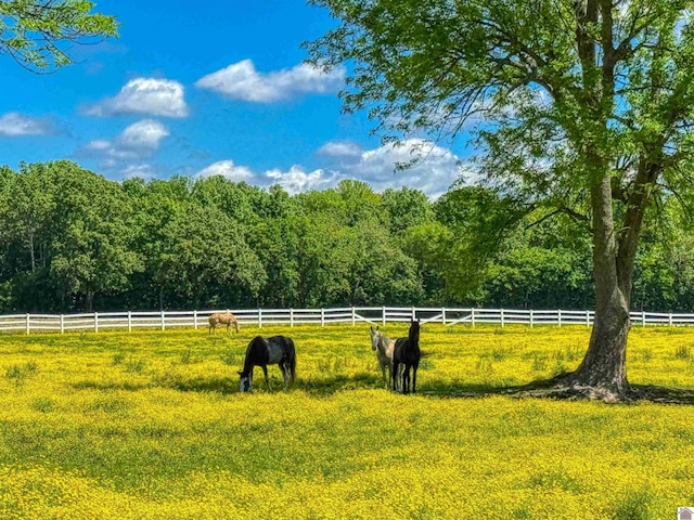 730 Rob Mason Rd, Murray, KY 42071 - view of yard featuring a view of rural / pastoral area