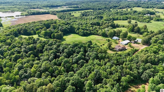 1300 Rocky Rd, Fancy Farm, KY 42039 - aerial view of a large body of water and a forest