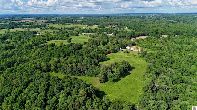 1300 Rocky Rd, Fancy Farm, KY 42039 - aerial view of property's location with a heavily wooded area