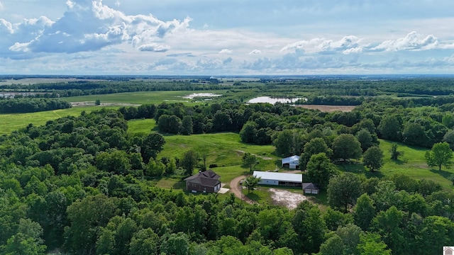 1300 Rocky Rd, Fancy Farm, KY 42039 - view of rural area featuring a forest