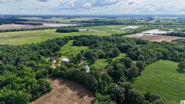 1300 Rocky Rd, Fancy Farm, KY 42039 - overview of rural landscape