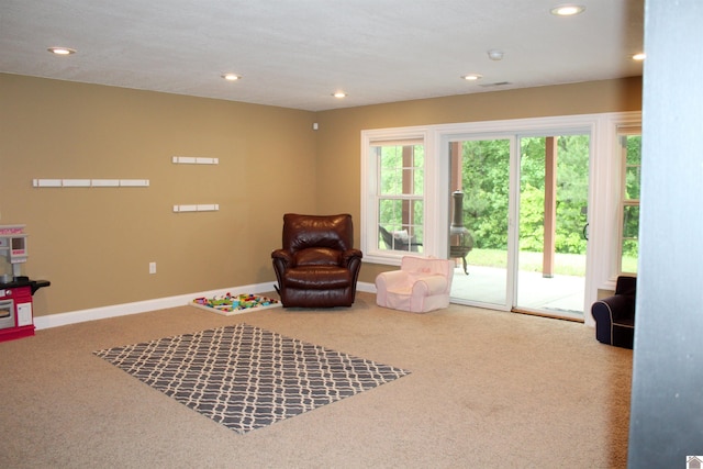 494 Beat Farmer Rd, New Concord, KY 42076 - living area featuring carpet flooring, recessed lighting, and baseboards