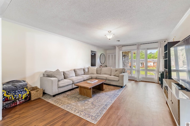 521 Whitnell Ave, Murray, KY 42071 - living area with ornamental molding, light wood-style flooring, and a textured ceiling