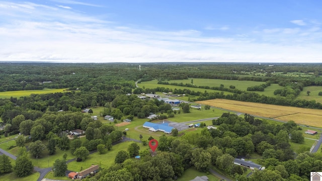 890 Ridge Rd, Gilbertsville, KY 42044 - aerial view of sparsely populated area