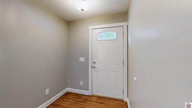 509 S 6th St, Murray, KY 42071 - entrance foyer with wood finished floors and baseboards