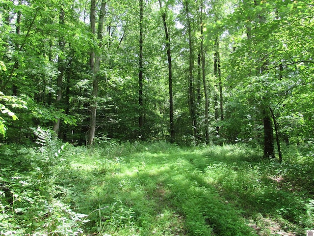 Dooms Chapel Rd, Symsonia, KY 42082