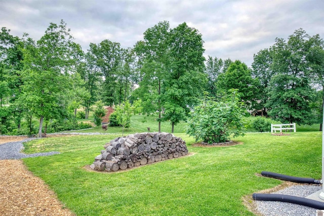 5904 Moors Camp Hwy, Gilbertsville, KY 42044 - view of grassy yard