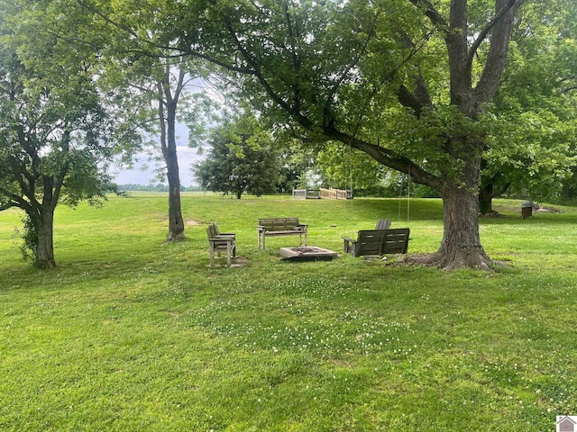 1903 State Route 564, Mayfield, KY 42066 - view of green lawn