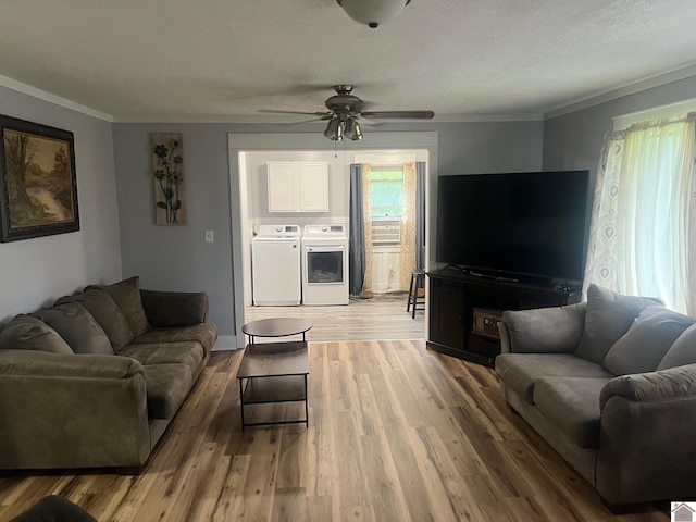1903 State Route 564, Mayfield, KY 42066 - living area featuring independent washer and dryer, a ceiling fan, crown molding, and light wood-style flooring