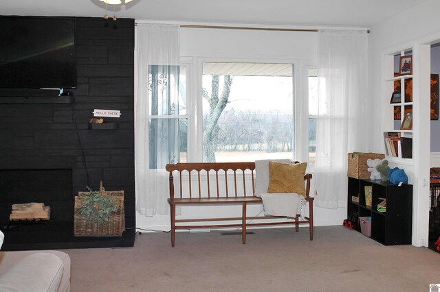 7262 State Route 94 E, Murray, KY 42071 - sitting room with carpet floors and a fireplace