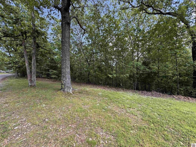 00 Leisure Acres Ln, Murray, KY 42071