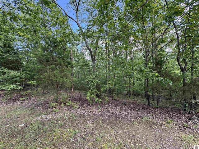00 Leisure Acres Ln, Murray, KY 42071