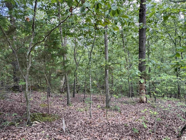 00 Leisure Acres Ln, Murray, KY 42071