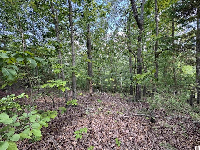 00 Leisure Acres Ln, Murray, KY 42071
