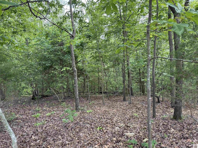 00 Leisure Acres Ln, Murray, KY 42071