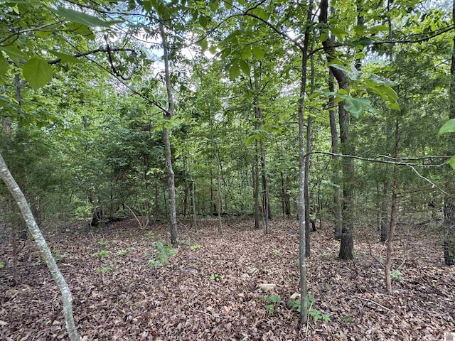 00 Leisure Acres Ln, Murray, KY 42071