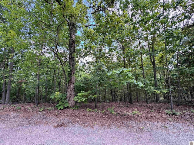 00 Leisure Acres Ln, Murray, KY 42071