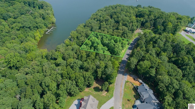000 Tow Ln, Murray, KY 42071