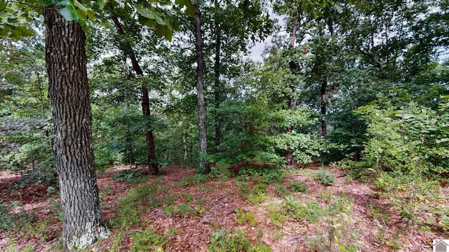 000 Tow Ln, Murray, KY 42071
