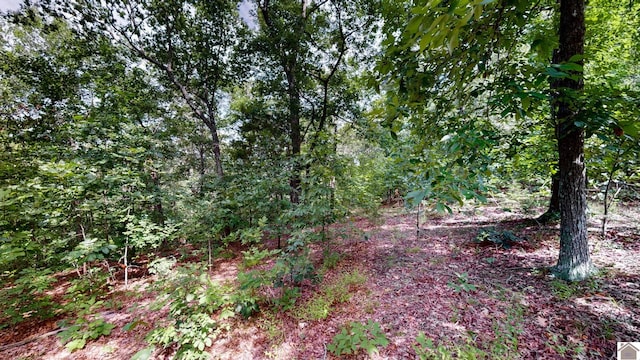 000 Tow Ln, Murray, KY 42071