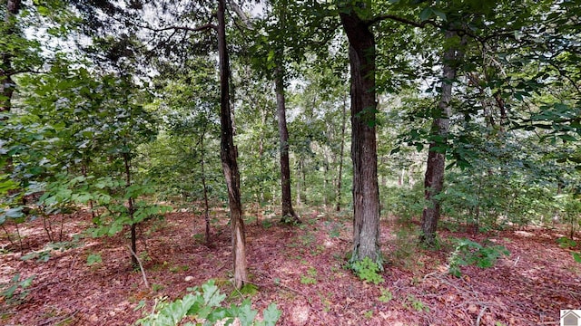 000 Tow Ln, Murray, KY 42071