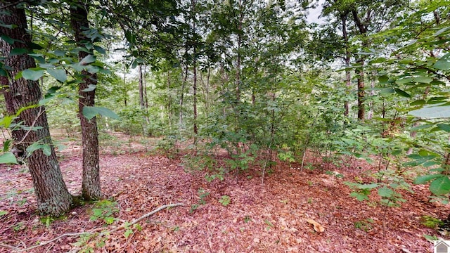 000 Tow Ln, Murray, KY 42071