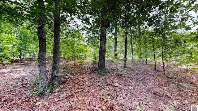 000 Tow Ln, Murray, KY 42071