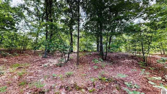 000 Tow Ln, Murray, KY 42071