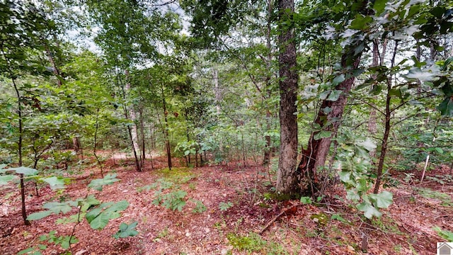 000 Tow Ln, Murray, KY 42071