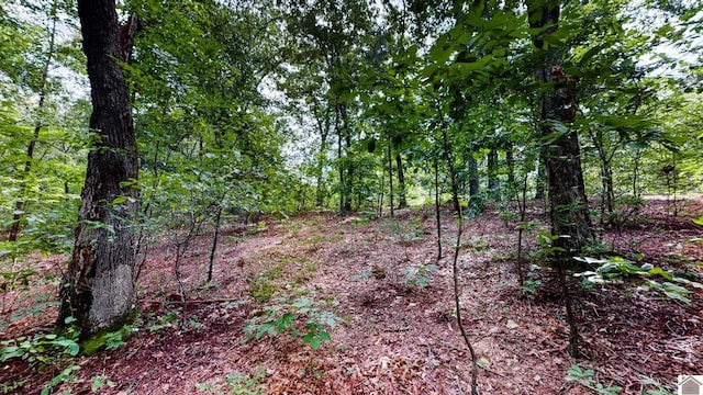000 Tow Ln, Murray, KY 42071