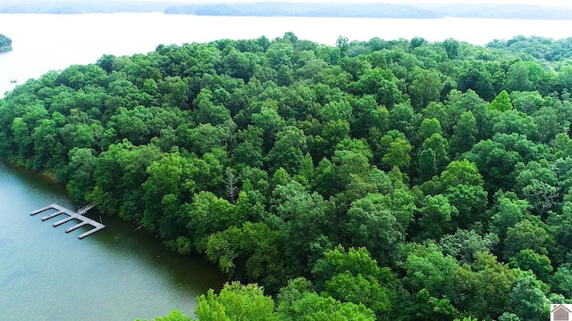 000 Tow Ln, Murray, KY 42071