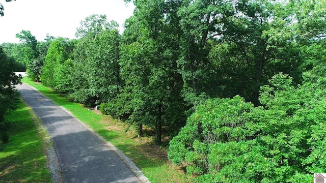 000 Tow Ln, Murray, KY 42071