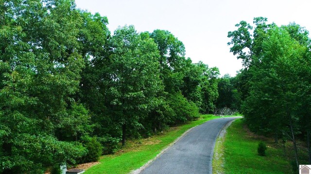 000 Tow Ln, Murray, KY 42071