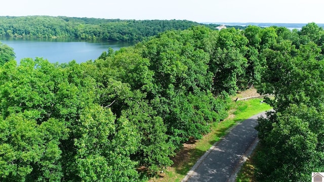 000 Tow Ln, Murray, KY 42071