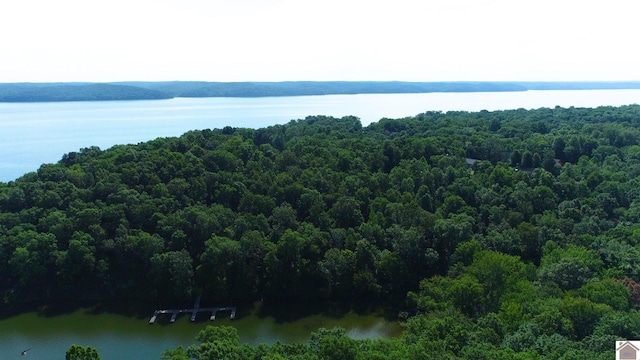 000 Tow Ln, Murray, KY 42071