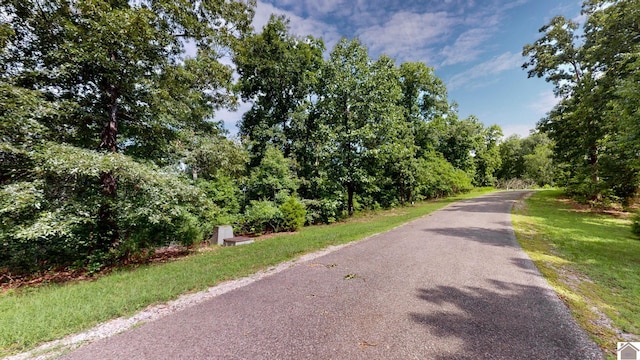 000 Tow Ln, Murray, KY 42071