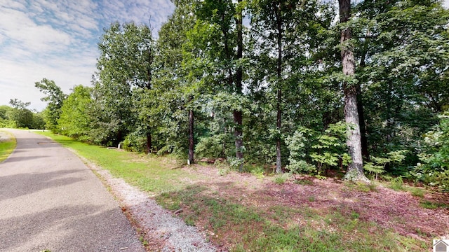 000 Tow Ln, Murray, KY 42071