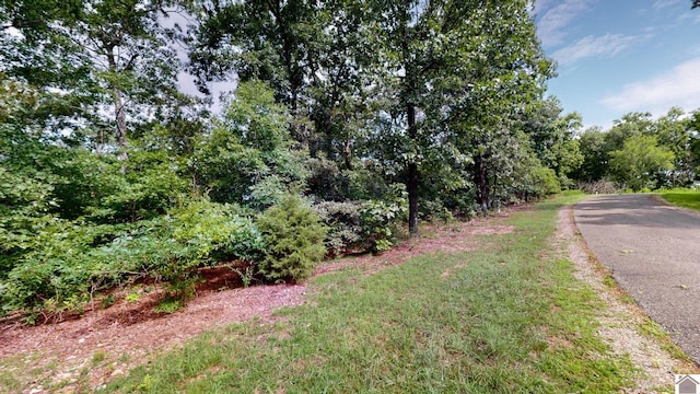 000 Tow Ln, Murray, KY 42071