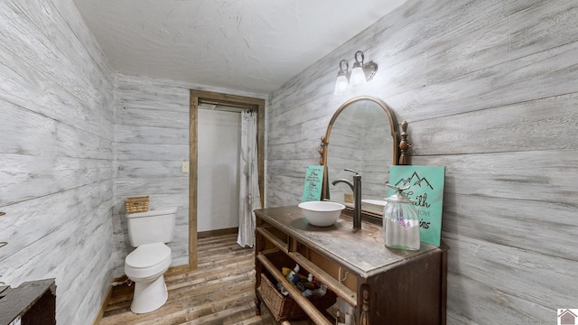 711 Rocky Rd, Fancy Farm, KY 42039 - bathroom featuring wood finished floors, vanity, toilet, and wooden walls