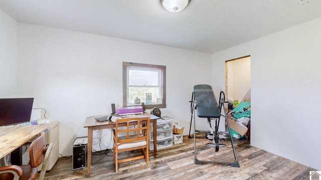 711 Rocky Rd, Fancy Farm, KY 42039 - office with wood finished floors