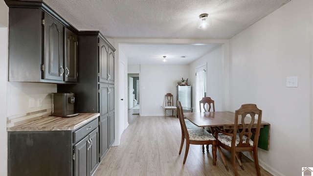 3500 Cairo, Paducah, KY 42001 - dining room featuring light wood-style floors, baseboards, and a textured ceiling