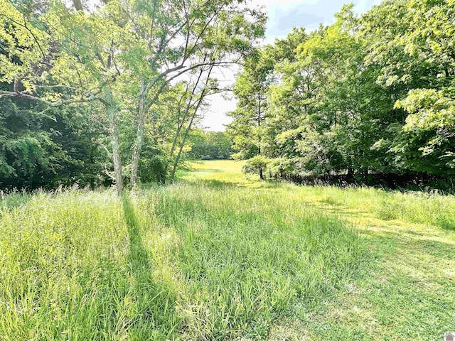 5109 S Rd, Cadiz, KY 42211 - view of wooded area