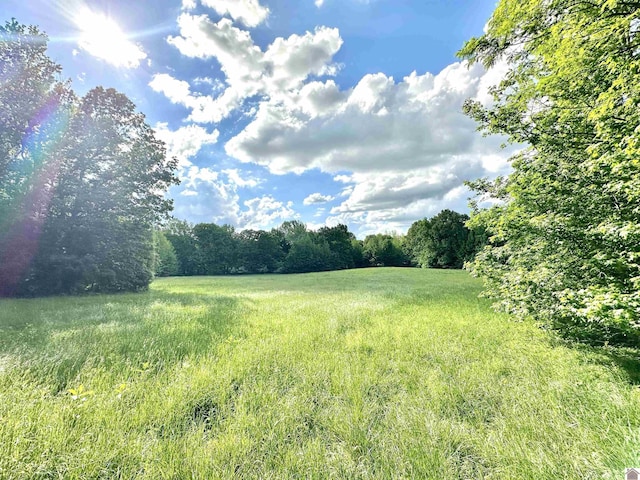 5109 S Rd, Cadiz, KY 42211 - view of yard with a wooded view and a rural view