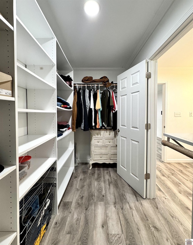 566 Golden Meadow Ln, Ledbetter, KY 42058 - spacious closet featuring wood finished floors