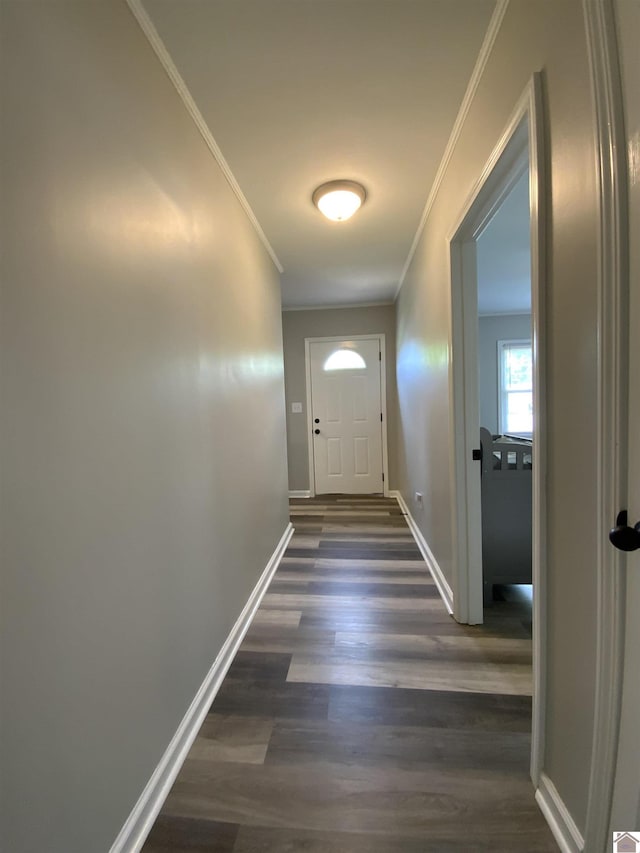 3827 Howle, Paducah, KY 42003 - doorway with crown molding, dark wood-style flooring, and baseboards